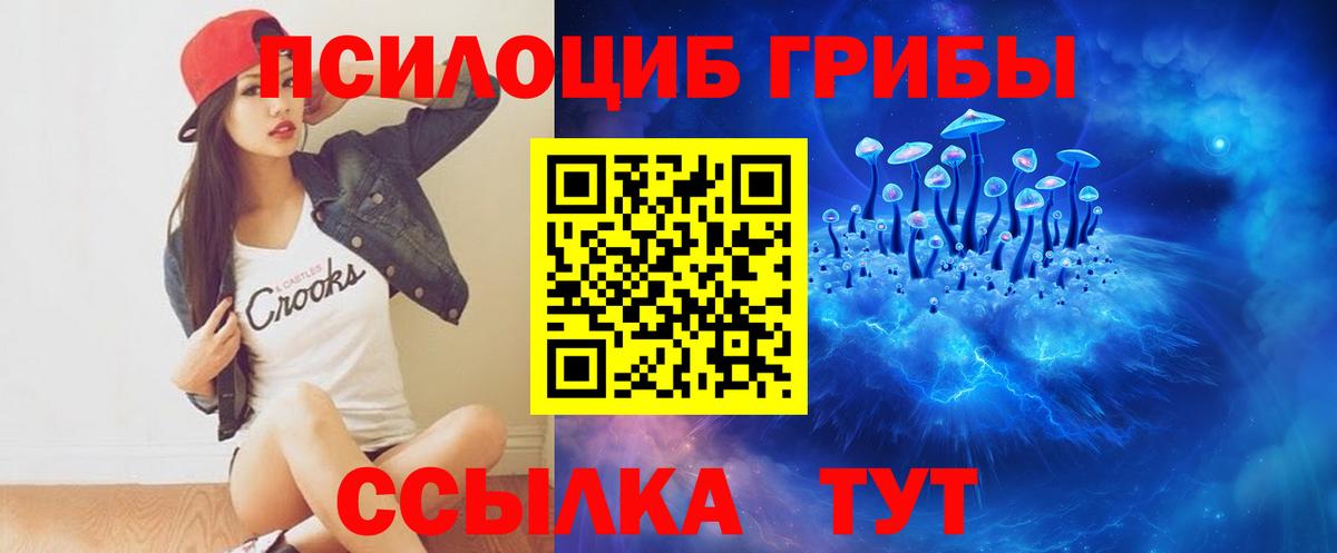 Галлюциногенные грибы Psilocybe Среднеуральск